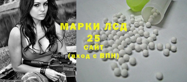 гашиш Богданович