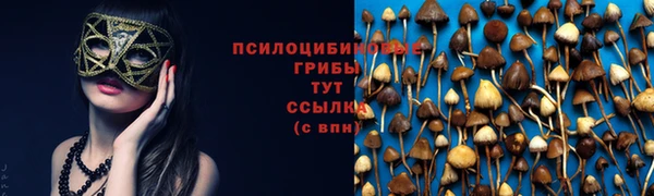 гашиш Богданович