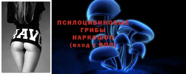 гашиш Богданович