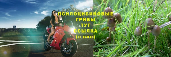 гашиш Богданович