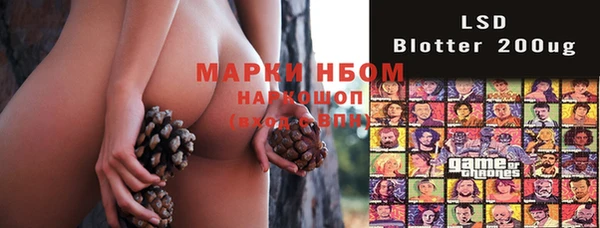 гашиш Богданович